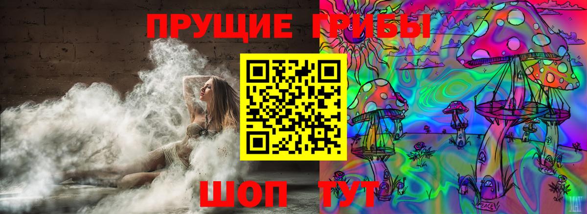Псилоцибиновые грибы Psilocybe  Галлюциногенные грибы Psilocybe  Сертолово  Вход с VPN 
